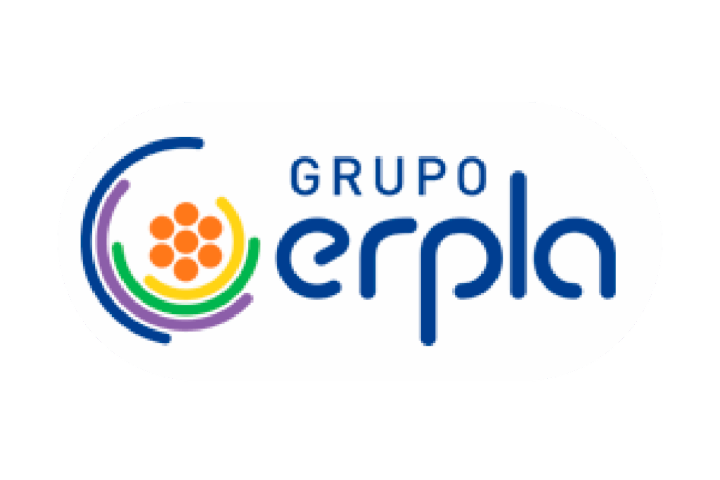 NEA _NEA_Logo Grupo ERPLA